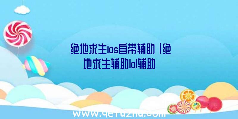 「绝地求生ios自带辅助」|绝地求生辅助lol辅助